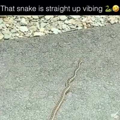 Swiggity Swooty, I'm slitherin' to that booty