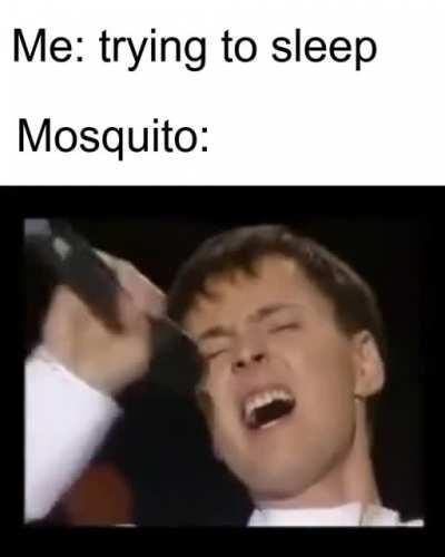 I made a meme regarding Vitas (might have already been done before i just had the idea because of a youtube comment)