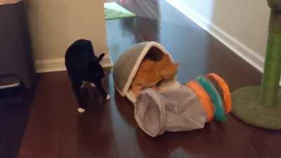 He knows what he did.