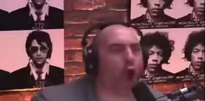 Who remembers this masterpiece by PINGTR1P? 😭 joe’s obsession with chimps and animals is gold