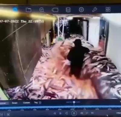 Infinite Fish Glitch