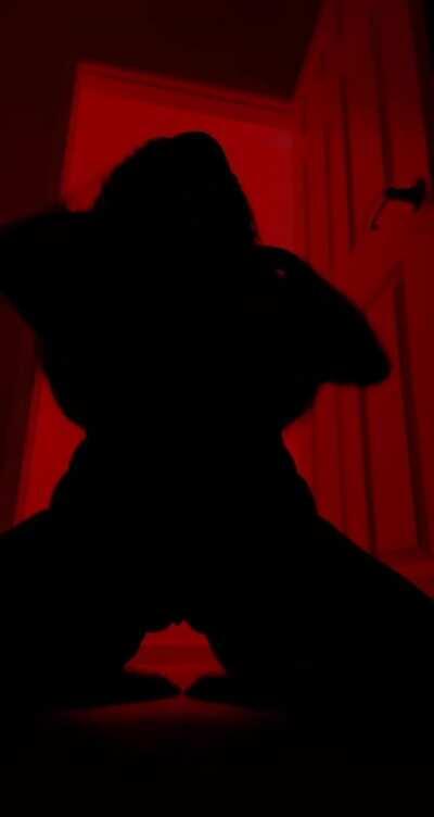 Silhouette Challenge