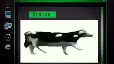 The Boss Trolls Bucciarati