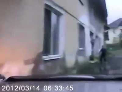 What the fuck is going on!?