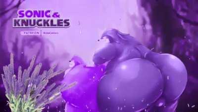 Sonic & Knuckles.. EVIL!