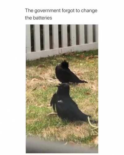 Someone got fired that day.