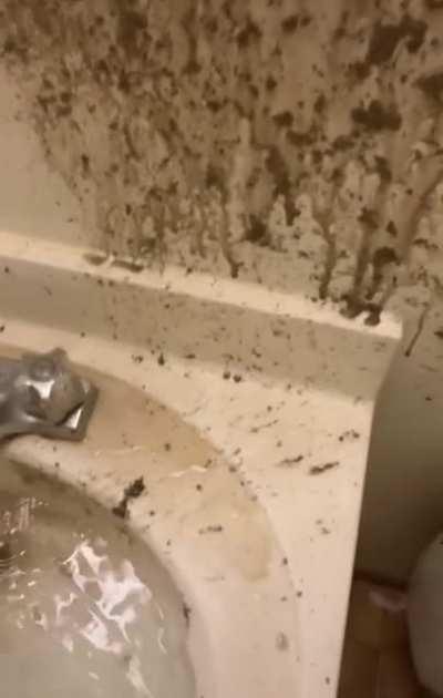 Unclogging the sink drain