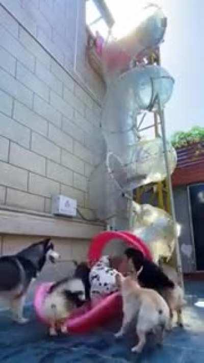 This is pretty sweet