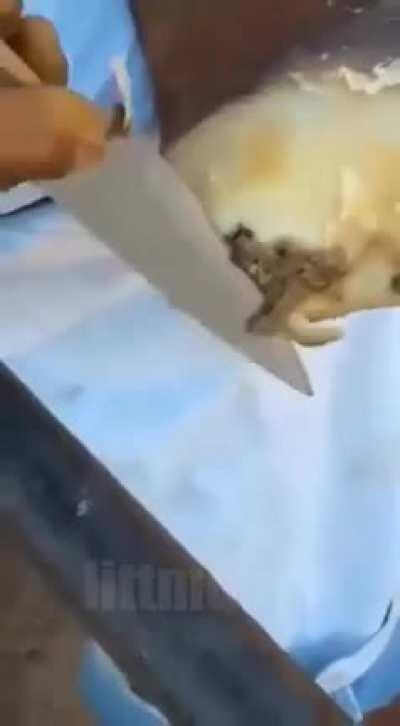 Man sheds off his feet calluses for his dog to consume like little beef jerky snacks