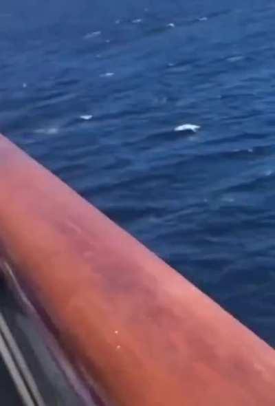 Watch me drink, dance and enjoy life with a beats pill in my hand