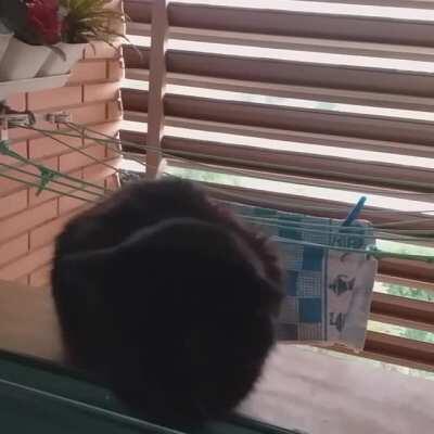 14 years saying good morning like this. Love him to pieces.