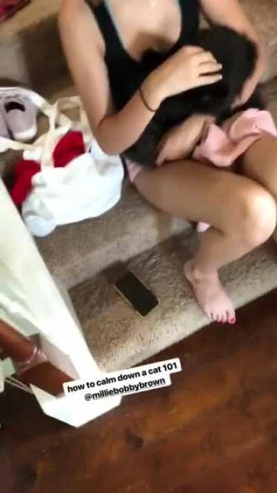 Soft kitty, warm kitty