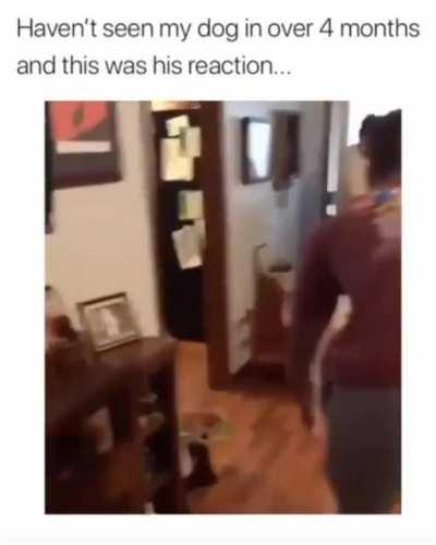 I don't know if this has been posted on here already but it is too damn beautiful.