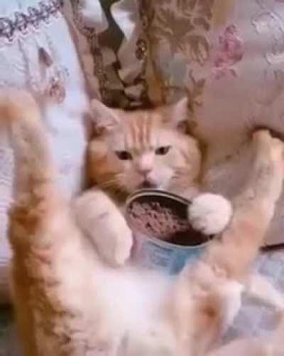 Позови кота с собой...