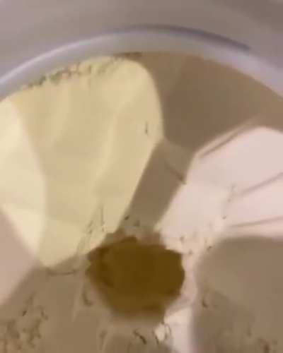 Moldy Protein