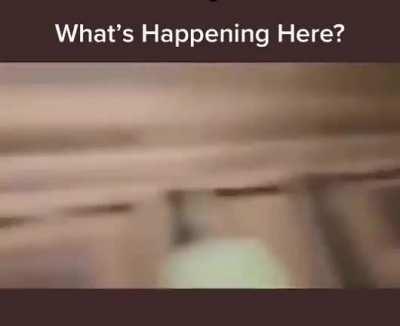 !!!What's happening here???