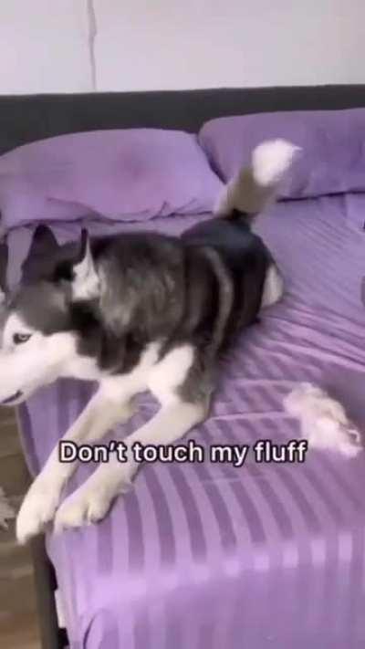 It's good for you cranky boy