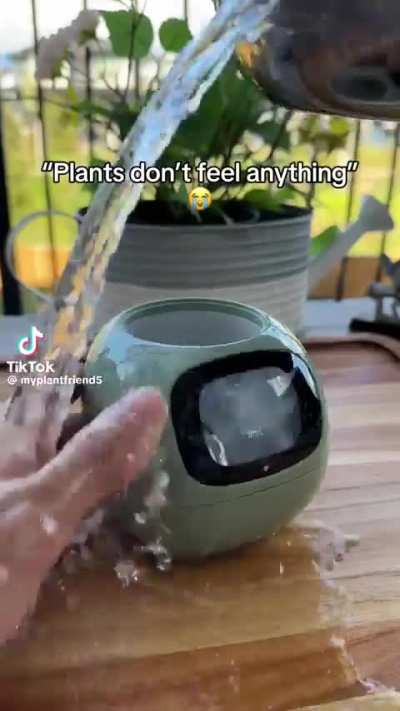 Where do I post this