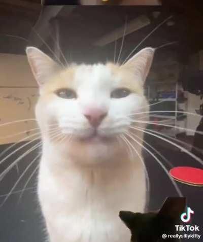 scrunkly🦃🔥😄😂😅🥹🏬❤️😁😃😅🏬☢️✨☢️😄💥🔥💔🍁💔😄❗️⚽️