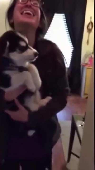 This baby howling differs from other dogs XDDD