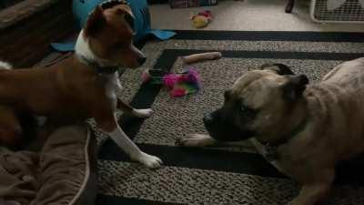 Standoff slammy whammies