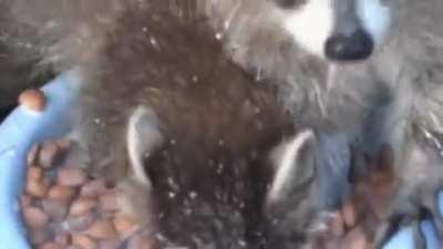 I just can't even with his face LMAO