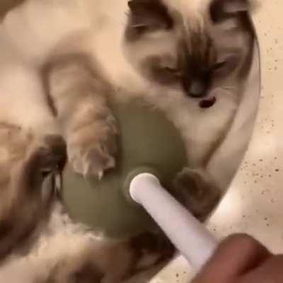 Думаю, даже Tiret Turbo не справится