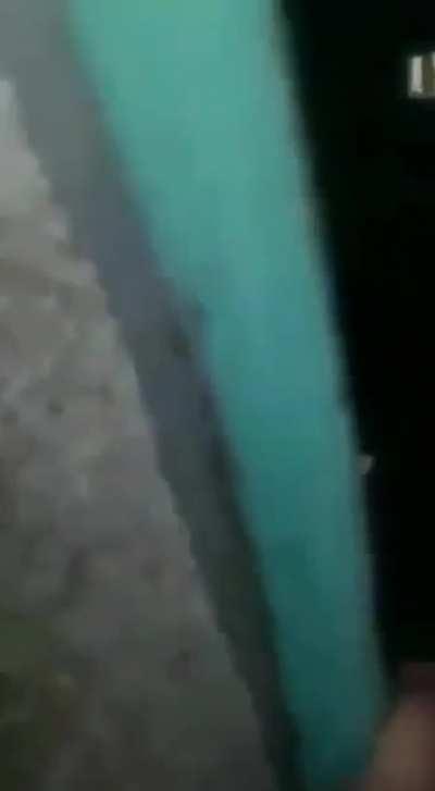 Köpeğe tecavüz eden orospu çocuğunu dövüyorlar