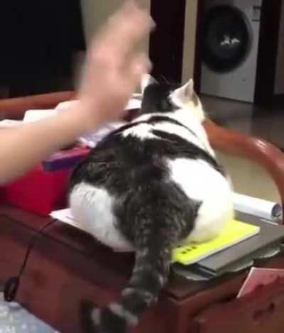 Thicker than a bowl of oatmeal