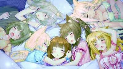 Sleeping Nekos [Nekopara]