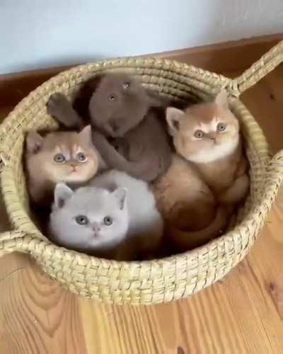 They are very grateful