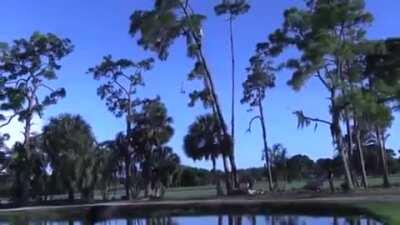 Sometimes simple misdirection is plenty magical