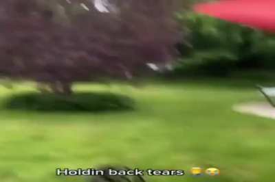 Meme of the day: You command your crow to find a supplies Bandit: