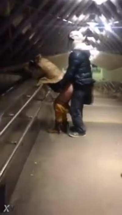 A nice doggystyle in public