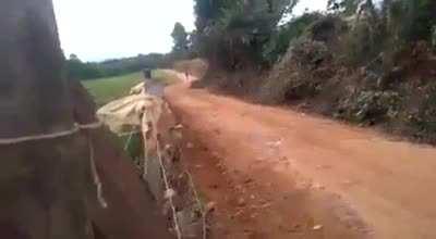 From my homeland in Brazil, this absolutely had to hurt.