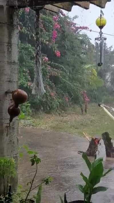 It rains everyday now.