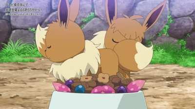 How two Eevee's greet each other when meeting for the first time