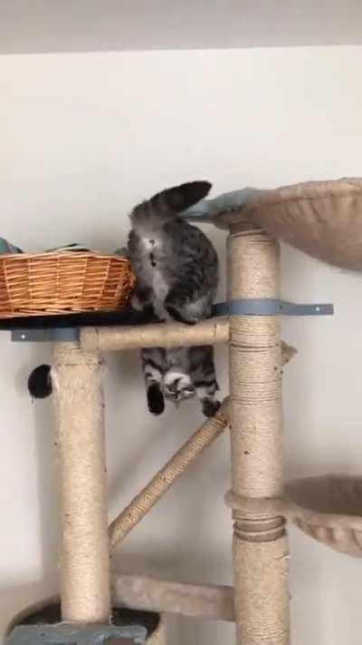 It's clear, he has done this before. Pro