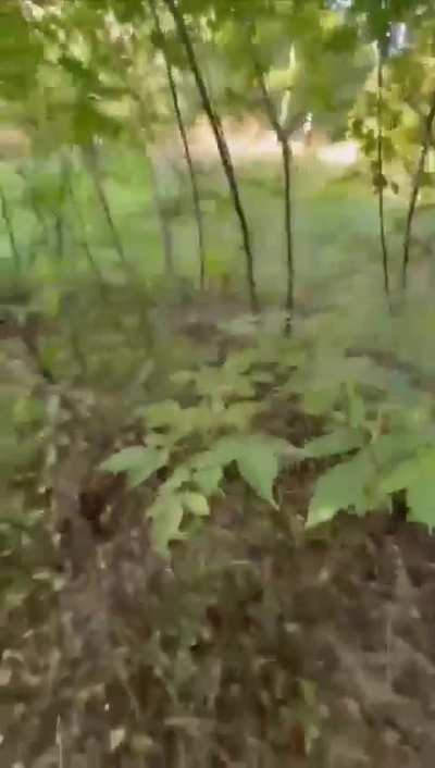 Combat use of the Ptashka infantry mesh launcher by a Ukrainian soldier on an FPV drone. September 2025