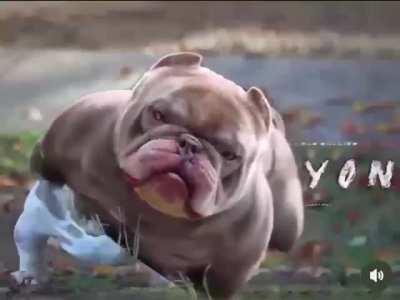 yuo got: i dont kno w