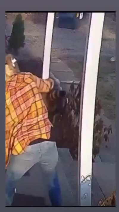 Indigo Park Ending Leaked