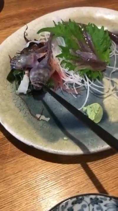The fish served in a Japanese restaurant bites into the chopstick