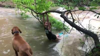 Tree seemed strong enough...