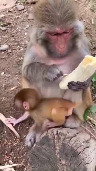 I don't like the banana strings either.