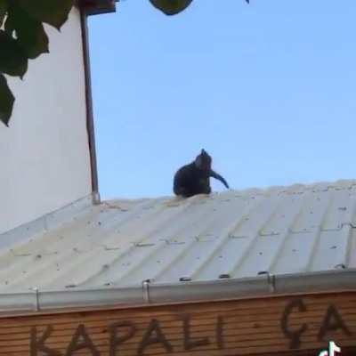 Feels like a scene from an action movie.