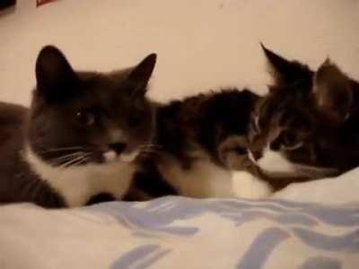 I wonder what these guys are talking about