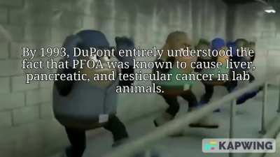 Don't drink the tap water