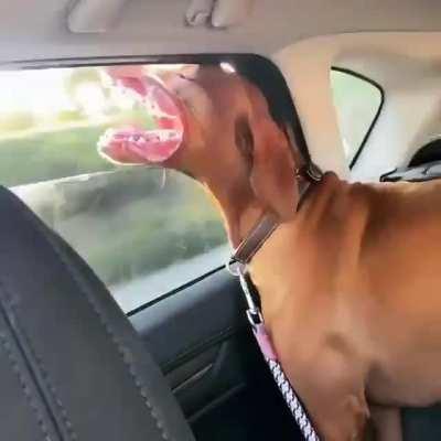 Someone needs oxygen