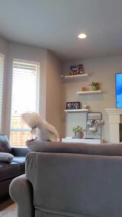 When the beat hits just right