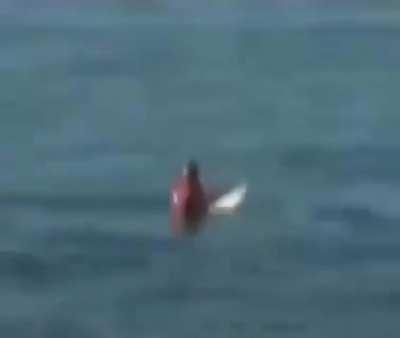 Sigma Male’s grind is beyond our understanding